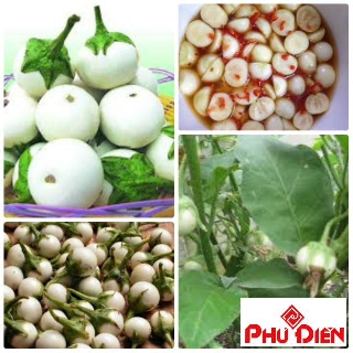 Gói 100 hạt giống cà pháo trắng phú điền