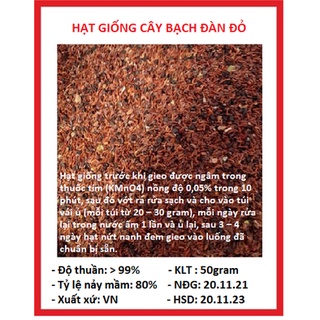 Hạt giống cây bạch đàn đỏ 1 gói 50gram