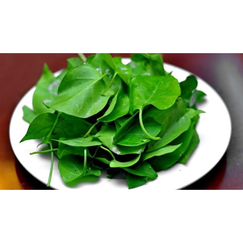 Shop 1K 10H - HẠT GIỐNG LÁ GIANG DƯỢC LIỆU THÂN LEO F1 tặng kích mầm