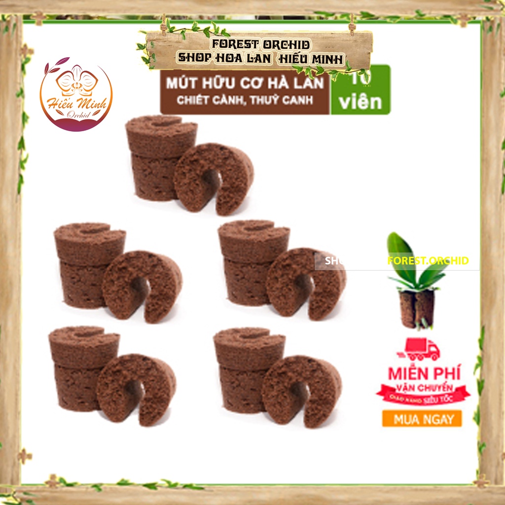 Mút Ươm Kei Hà Lan, cho Hoa, Lan ,loại , TỐT, Thuốc,Làm, cây cảnh và hạt giống, Bền, Đẹp, Xanh, Sống, Chất,Lượng