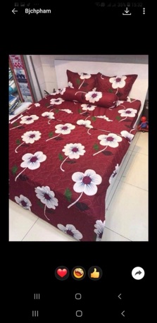 Set bộ 5 món 199k