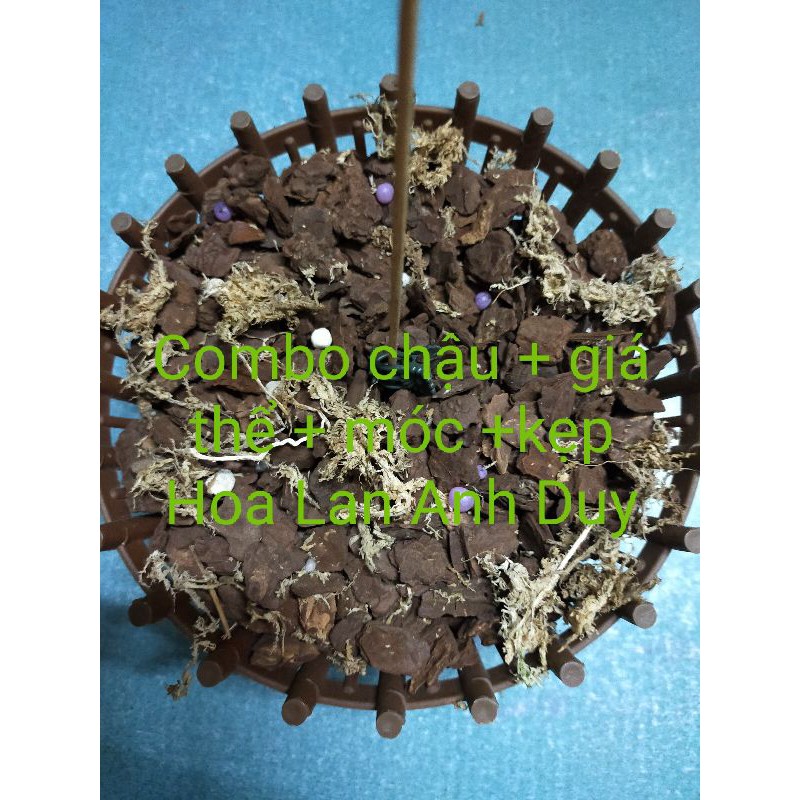 COMBO chậu nan 20cm+ phân tan chậm + giá thể trồng lan vỏ thông, xơ dừa đã qua xử lý nấm( trọn bộ cho một chậu lan)