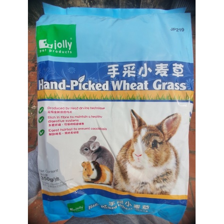 Cỏ lúa mì khô wheatgrass, tiểu mạch thảo non ,Jolly Cỏ Lúa Mì Hái Thủ Công 350g cho thỏ,bọ ú, chinchilla