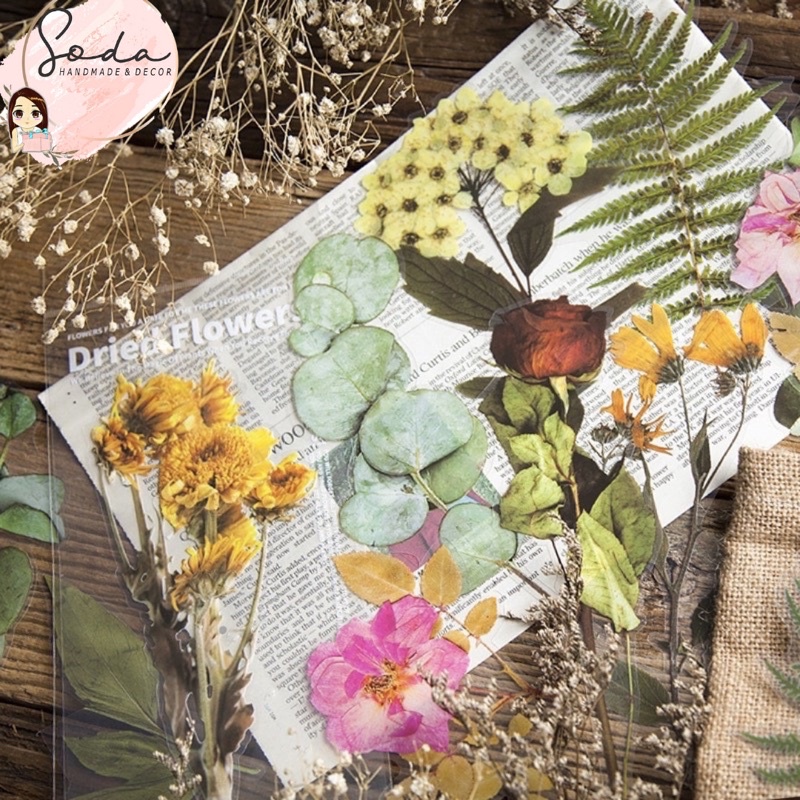 Sticker giả hoa khô trang trí khung trong suốt/Album Handmade