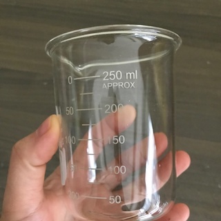 CỐC THỦY TINH (250mL)
