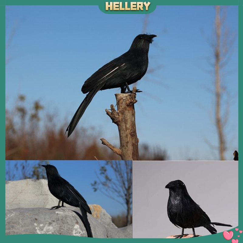 Set 6 Chú Chim Nhồi Bông Màu Đen Dùng Làm Đạo Cụ Hóa Trang Halloween