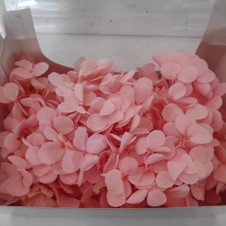 Hoa tú cầu khô các màu