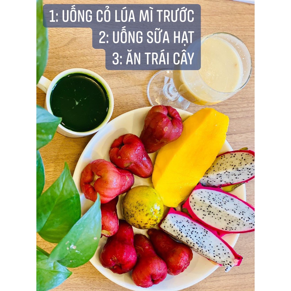 [Thơm Ngon] Sữa Hạt | Sữa Dinh Dưỡng Cao Cấp | Sữa Hạt Chính Hãng [Mua Tặng Kèm Bình Lắc]