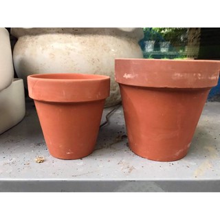 Chậu trồng sen đá