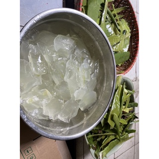 Kem ủ xả Agan Bơ hạt mỡ