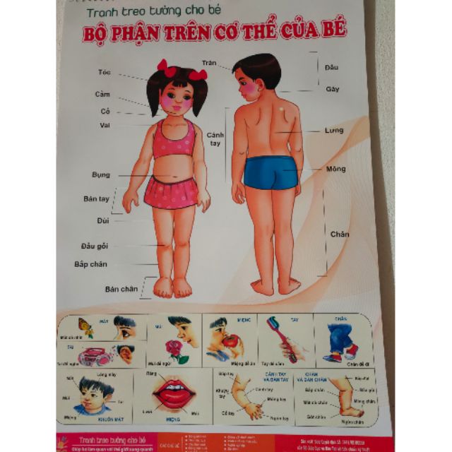 Tranh treo tường cho bé