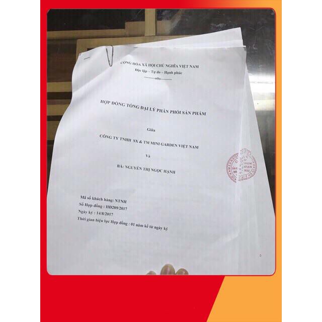 [CHÍNH HÃNG] Son Gold Minigarden | BigBuy360 - bigbuy360.vn