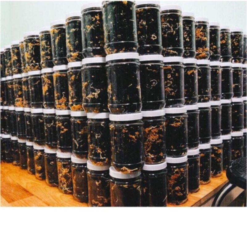 RONGBIỂNCHÁYTỎI