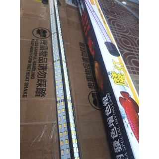 Đèn led hồ cá led rồng XUANMEILONG 4 HÀNG CHUYÊN DỤNG. Màu Vàng trắng&  Hồng. 4 dãy led. Vận chuyển bể 1 đền 1