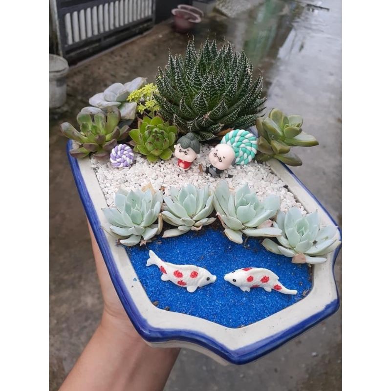 Cát màu trang trí tiểu cảnh sen đá, xương rồng, cẩm nhung, chậu cây mini, terrarium, hồ cá - Nhiều màu