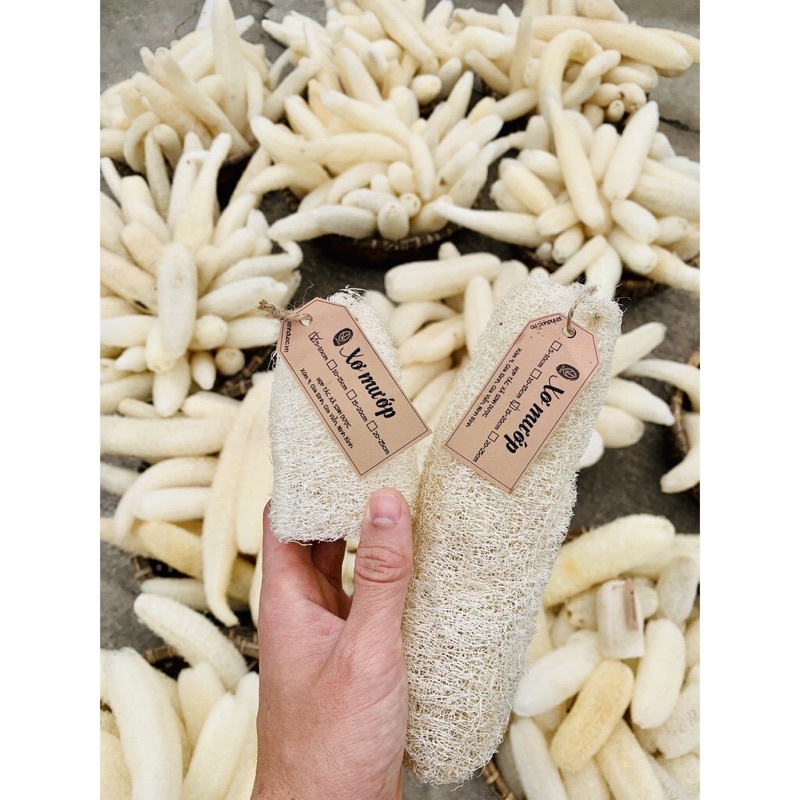 Xơ Mướp Sinh Dược Xơ Mướp Tắm Tẩy Tế Bào Chết, Sơ mướp Rửa Chén, Bông Tắm, Xuất Khẩu | BigBuy360 - bigbuy360.vn