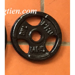 Tạ miếng gang 10kg
