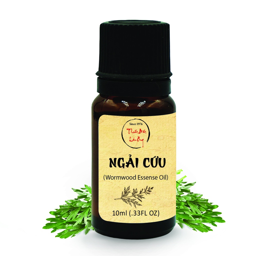 Tinh dầu Ngải Cứu 20ml, giảm đau bụng kinh, xoa bóp cổ vai gáy, cánh tay nhức mỏi, ngừa ho, cảm cúm - Thuốc Bắc Lãn Ông