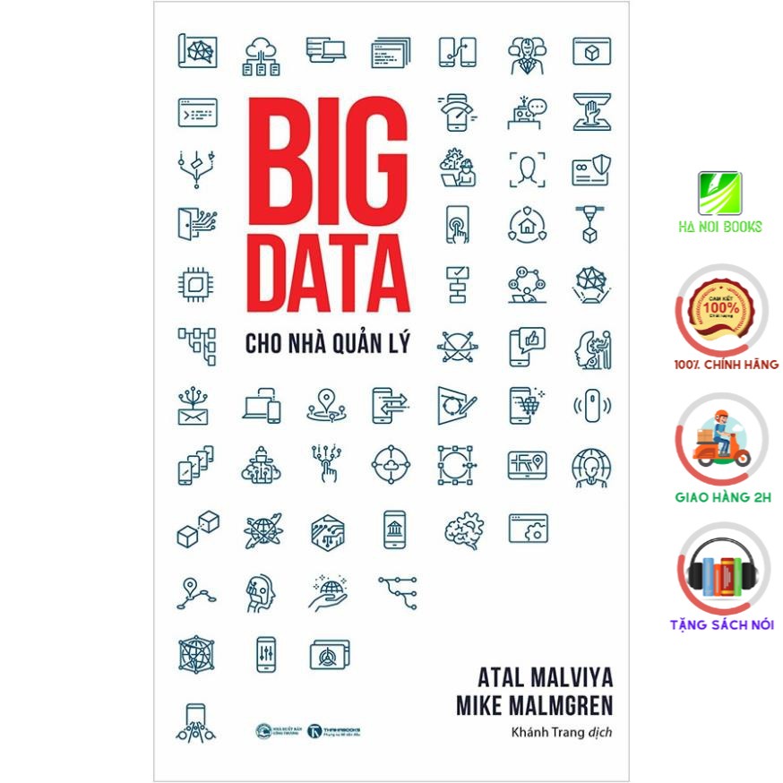 Sách - Big data cho nhà quản lý: Cuốn sách gối đầu giường cho mọi CEO - Thái Hà Books
