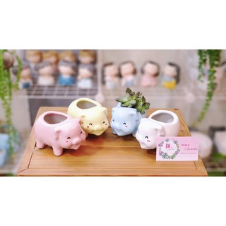 Chậu sứ trồng cây hình thú