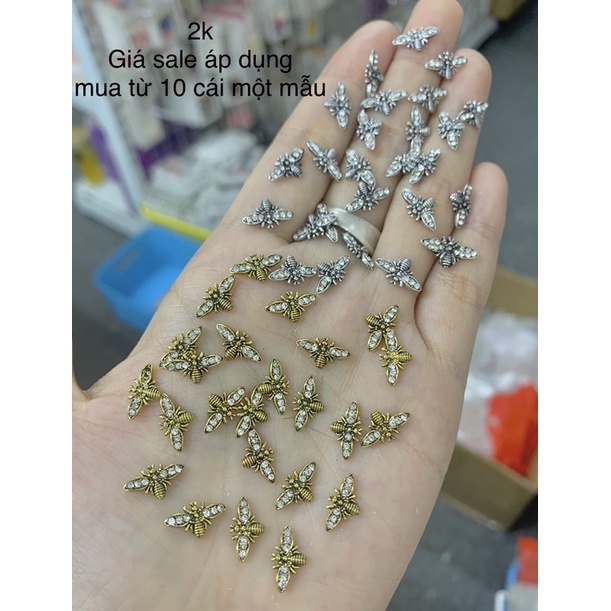 Cham hình đính móng