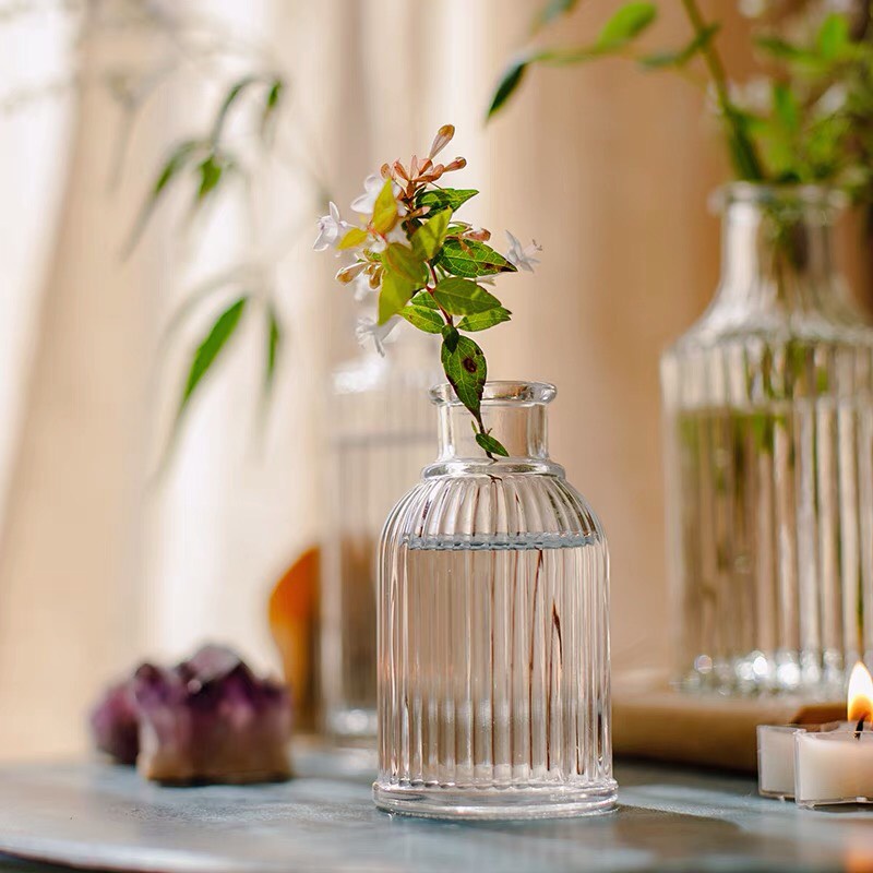 Lọ Hoa Thủy Tinh Mini Kẻ Sọc - Bình Lọ Cắm Hoa Trang Trí Bàn Học