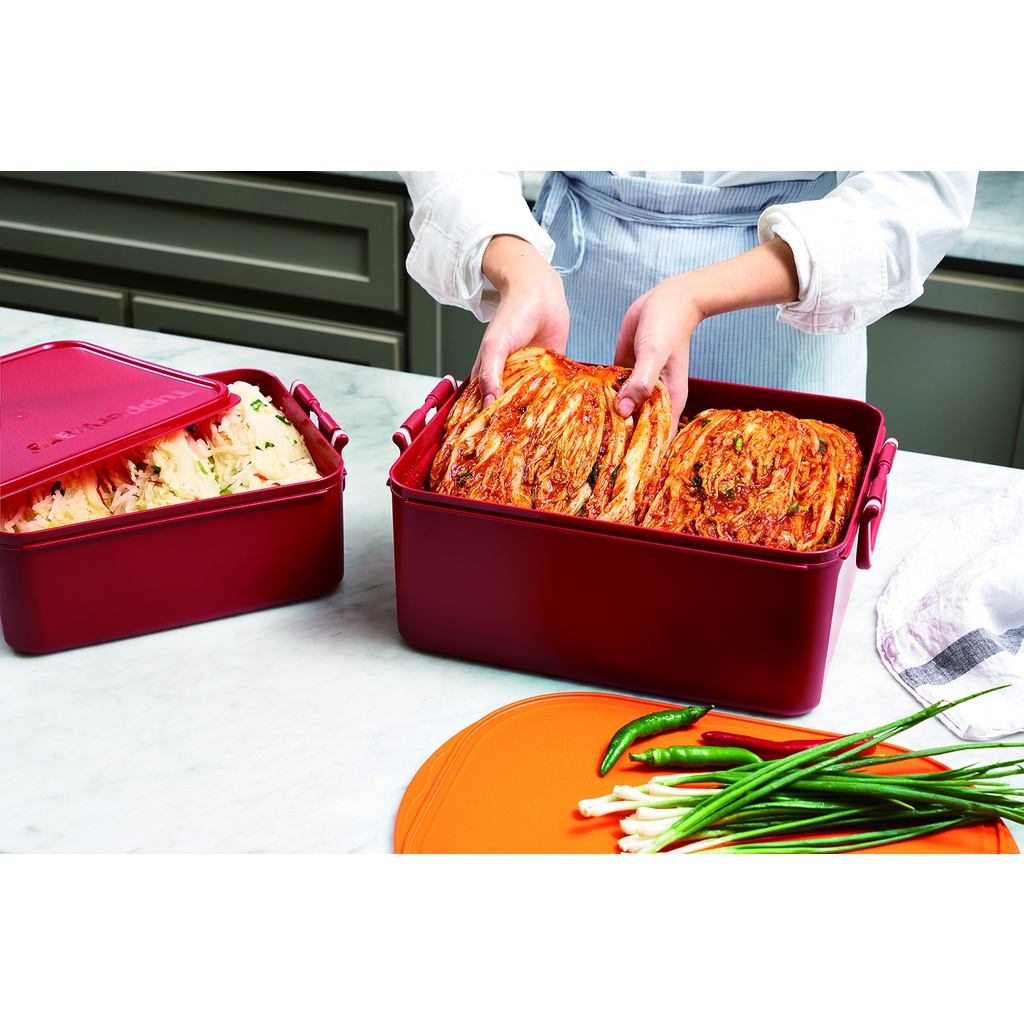 Hộp bảo quản thực phẩm ngâm Tupperware