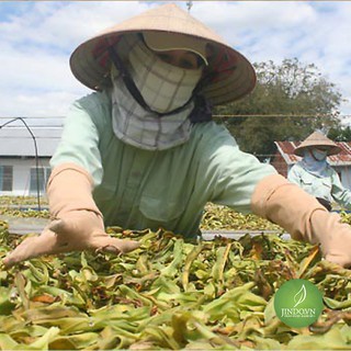 Trinh nữ hoàng cung (gói 1kg) -NDX007
