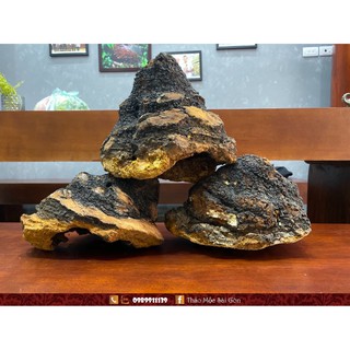 1kg nấm chaga siberia nhập khẩu từ nga