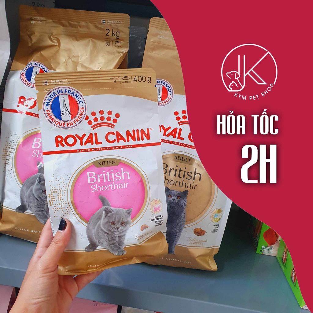 ROYAL CANIN BRITISH SHORTHAIR - Thức ăn hạt khô dành riêng cho giống mèo Anh lông ngắn