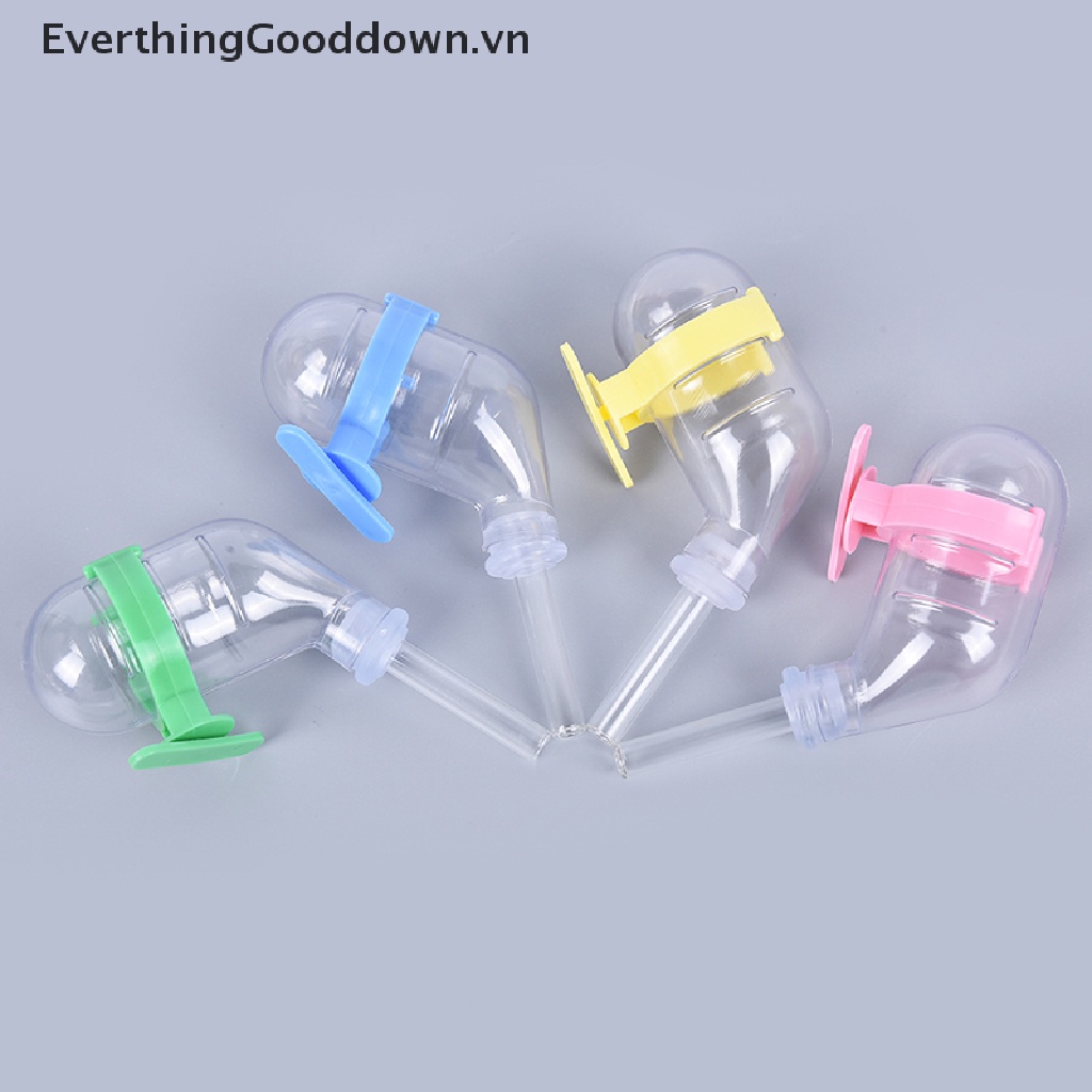 Everthingood Bình Uống Nước Tự Động Cho Thỏ / Chuột Hamster