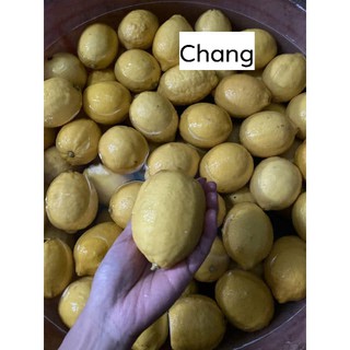 Trà xả chanh bạc hà