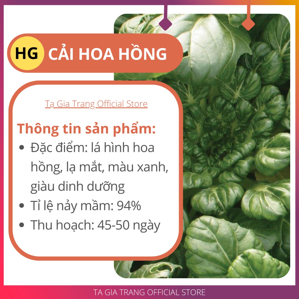 Hạt giống rau cải hoa hồng - Gói 200-300 hạt