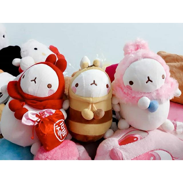 Set 3 thỏ bông Molang đáng yêu