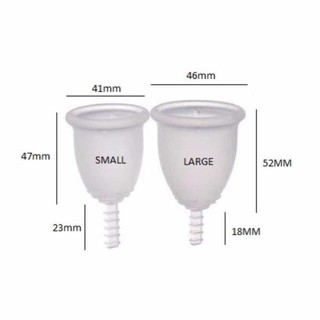 Combo 4 bộ cốc nguyệt san Fleurcup