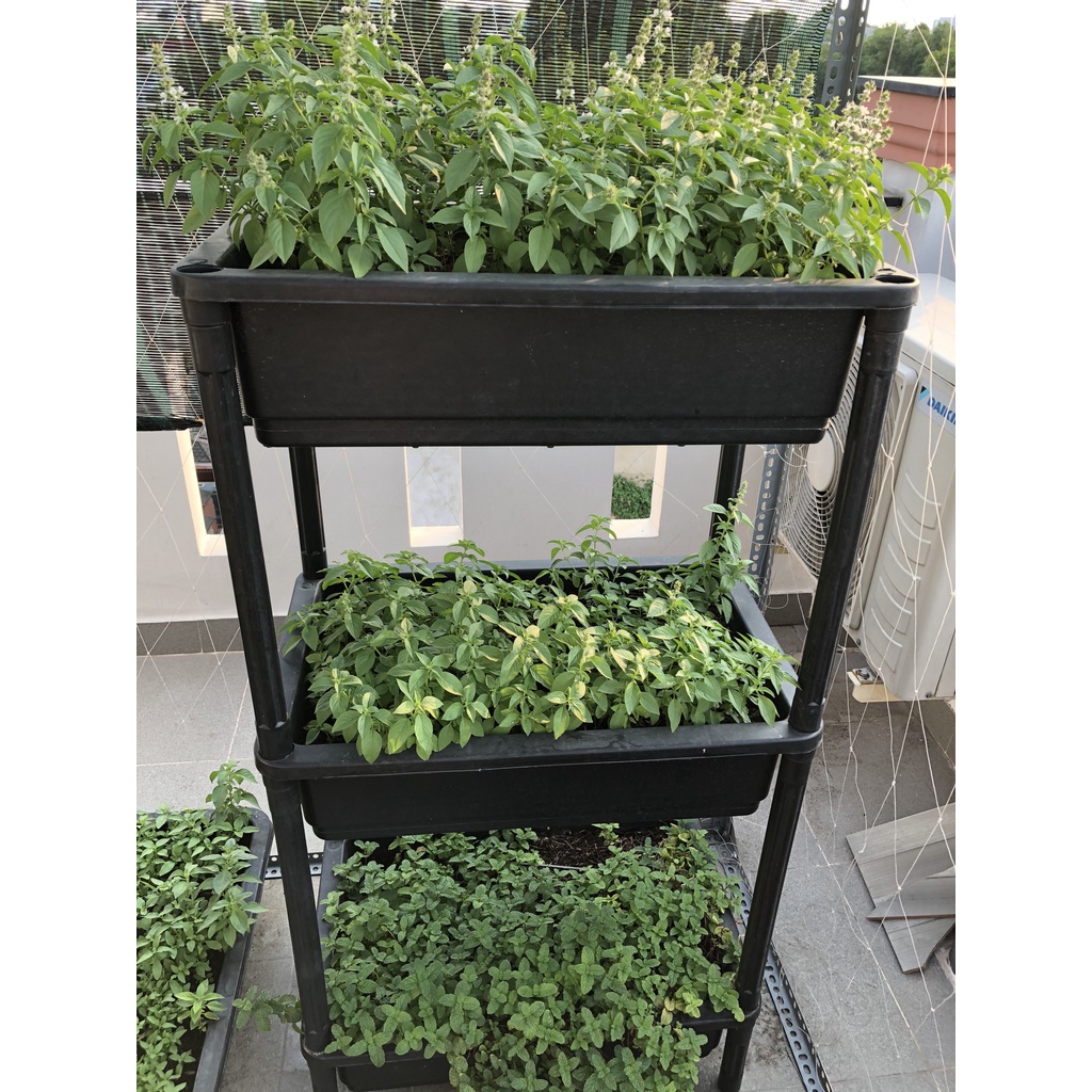 Phân bón chuyên cho rau , cây cảnh từ trùn quế gói 5kg