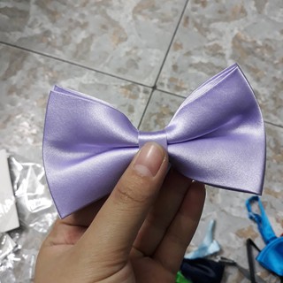 Nơ Mèo cho chú rể