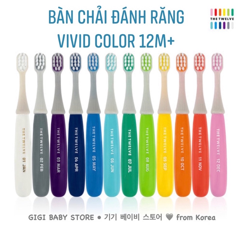 <Vivid color> Bàn chải đánh răng mềm mại nhiều màu sắc The Twelve Korea cho trẻ em từ 12 tháng