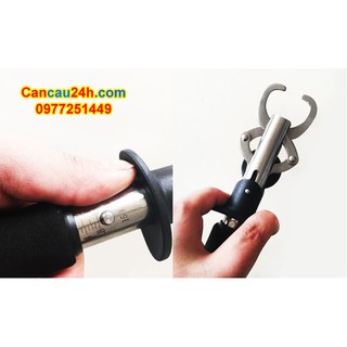 Kìm kẹp cá Móc cá có thước và cân