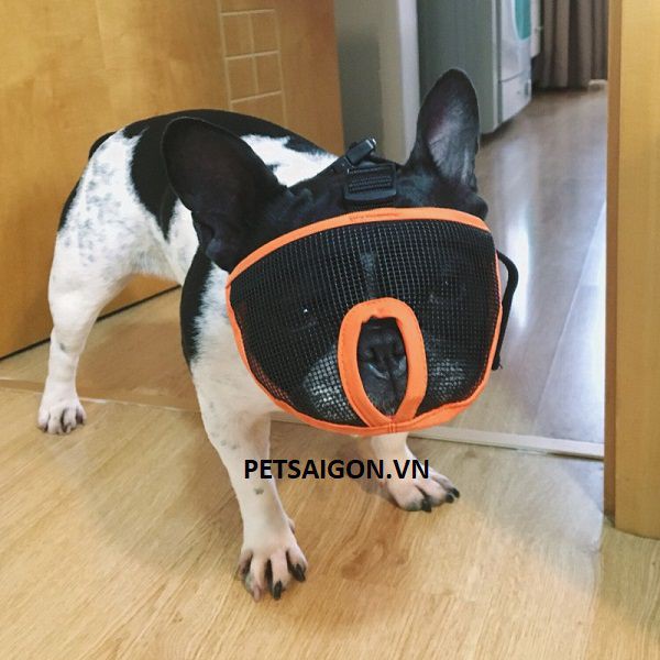 RỌ MÕM VẢI DÀNH CHO CHÓ MÕM NGẮN