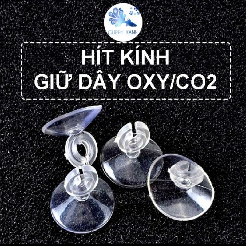 Núm hít kính- Giữ dây sủi- Dụng cụ giữ dây sủi