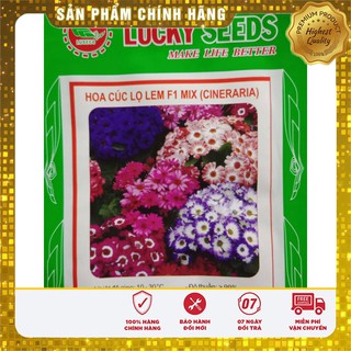 Hạt giống Hoa cúc lọ lem Nhiều màu ( gói 20 hạt)