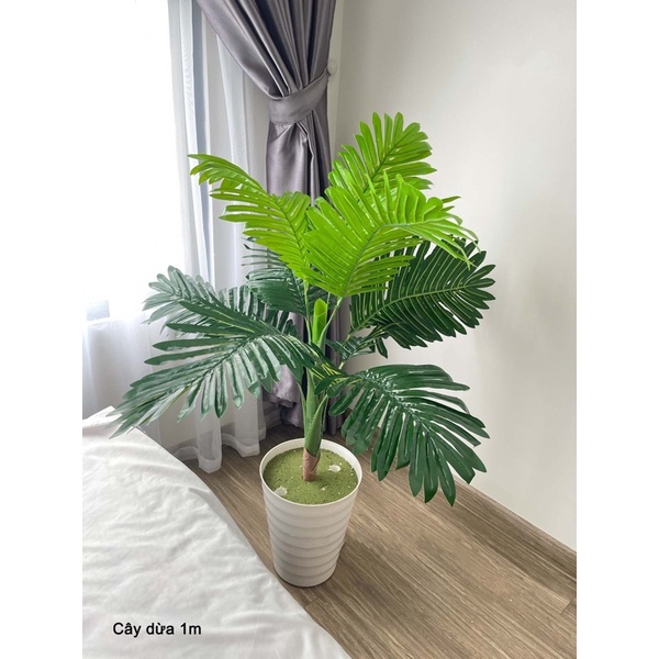 Cây dừa giả-Cao 1m -decor trang trí nội thất siêu xinh