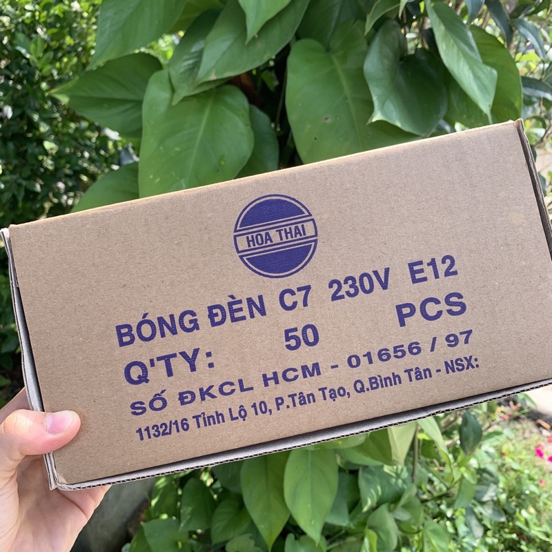 Hộp 50 Quả Nhót  Đỏ , Bóng Đèn Thờ Giá Rẻ