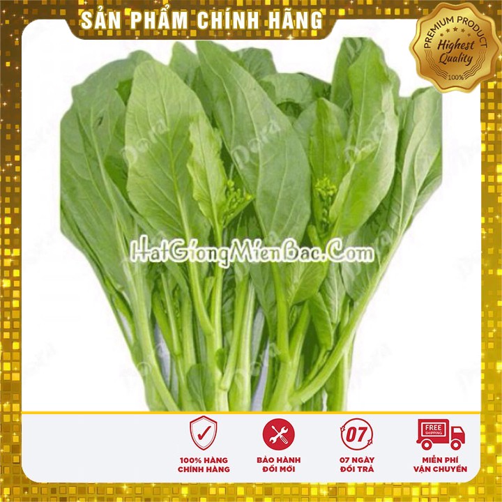 Hạt Giống Rau Cải Ngồng(20gr)