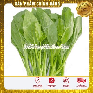 Hạt Giống Rau Cải Ngồng(20gr)