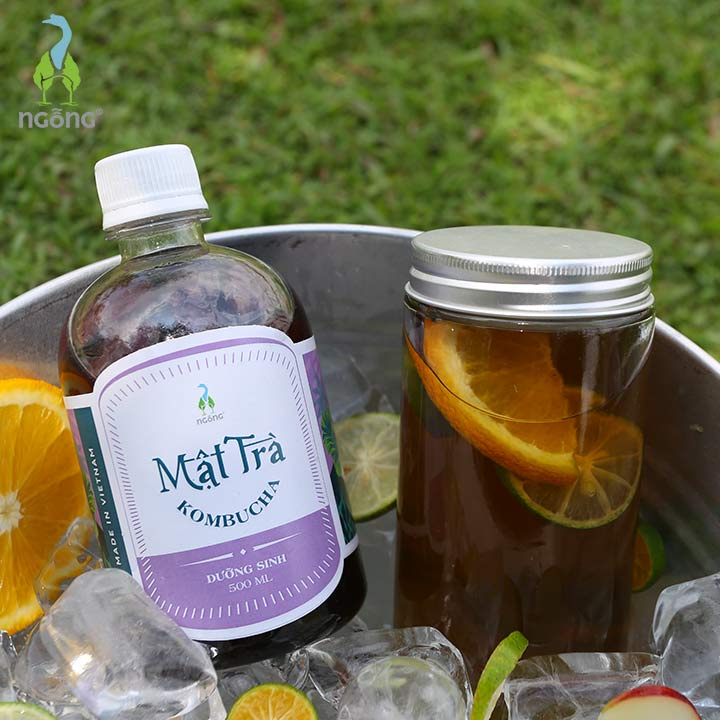 Mật Trà Kombucha Dưỡng Sinh 5l