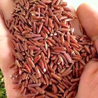 [Cao Cấp] 1kg Trà thảo mộc chữa mất ngủ Bin Bin