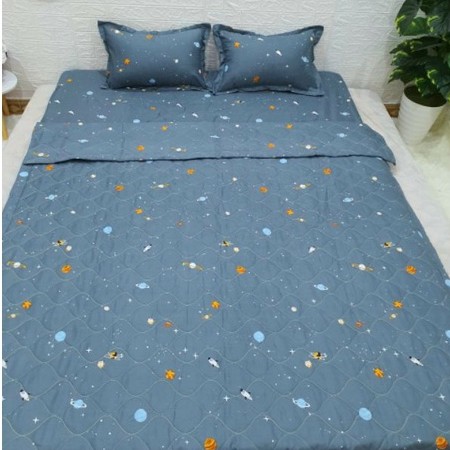 Bộ chăn hè ga gối 5 món đủ mọi kích mọi thước mẫu mới