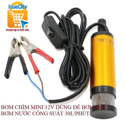 Máy bơm nước mini chìm 12V